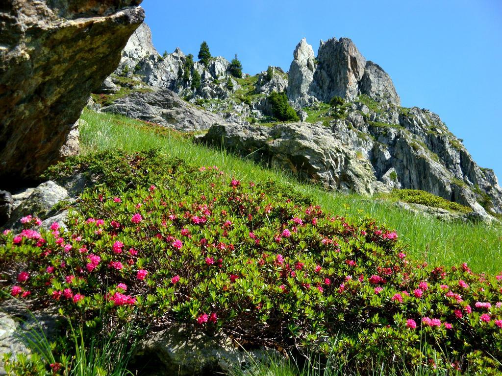 Auberge La Douce Montagne 알레몽 외부 사진